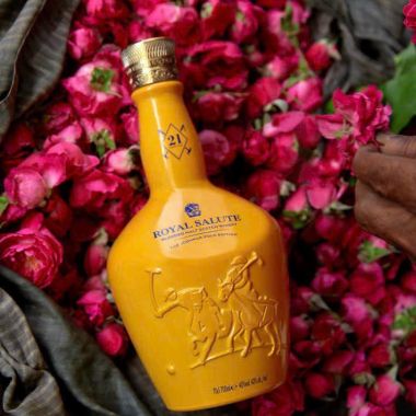 Royal Salute 21 năm - Jodhpur Polo Edition