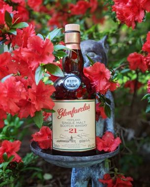 Glenfarclas 21 Năm