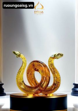 Rắn vàng doha Royal Rich XO Premium