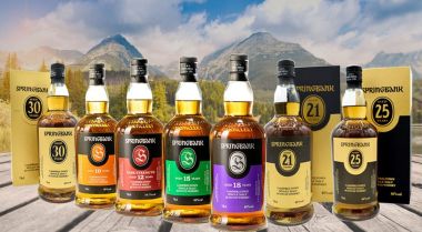 SPRINGBANK 10 NĂM
