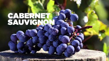 Rượu vang đỏ Chile Concha Y Toro Master Edition Cabernet Sauvignon