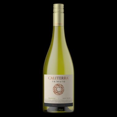 RƯỢU VANG CALITERRA TRIBUTO CHARDONNAY