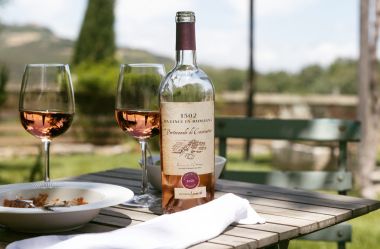 VANG 1502 DA VINCI IN ROMAGNA PORTOCANALE DI CESENATICO