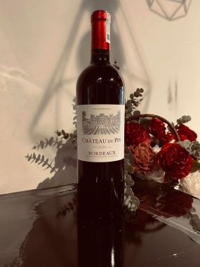 RƯỢU VANG PHÁP CHATEAU DU PIN