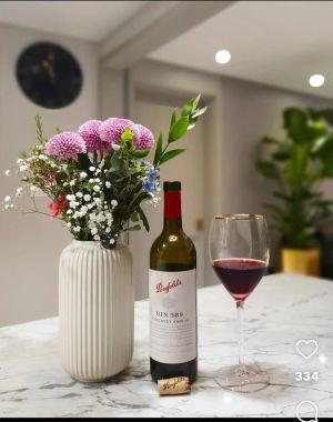 Vang Úc Penfolds Bin 389