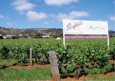 Vang Úc Penfolds ST Henri Shiraz