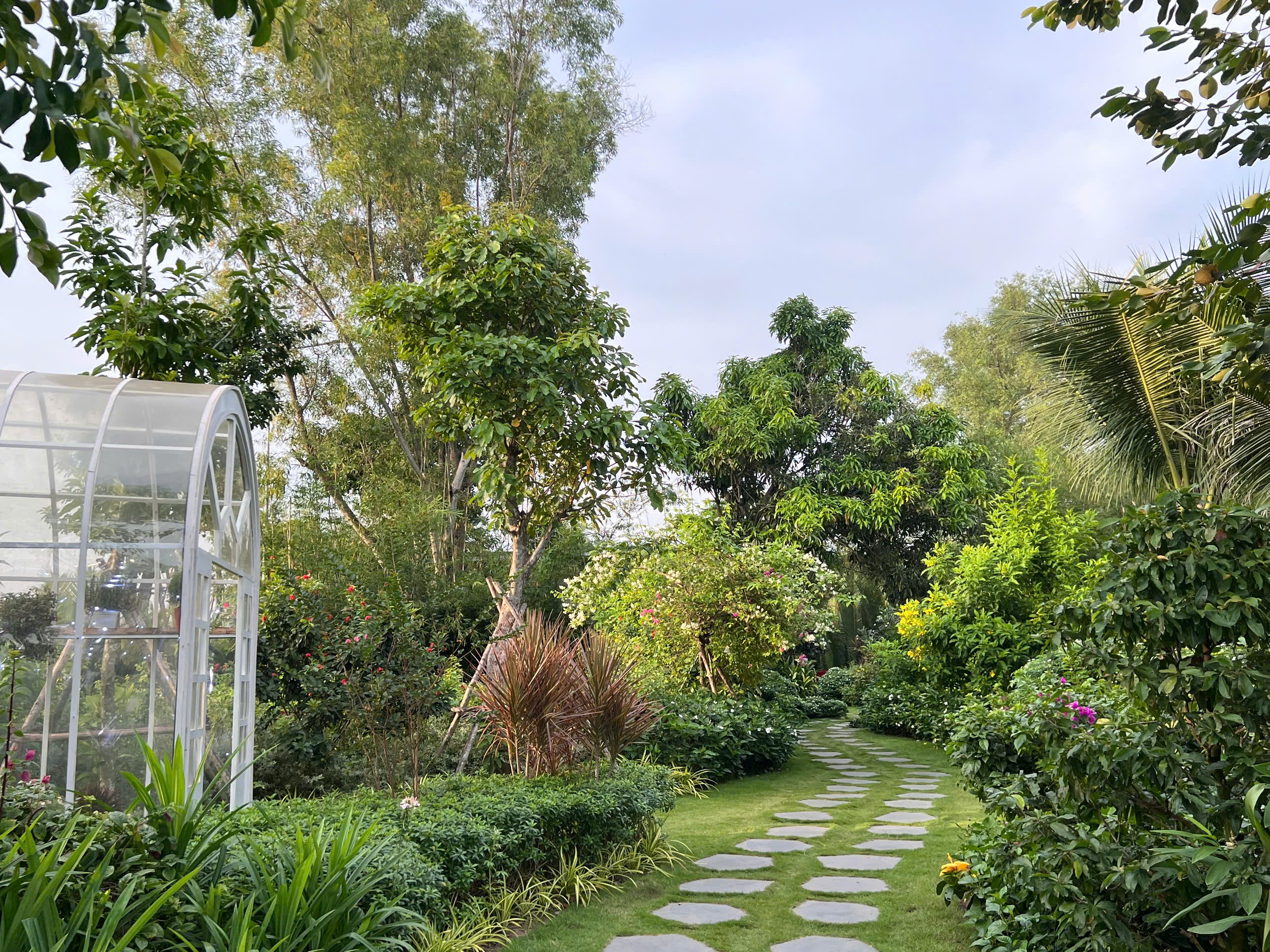 show Về Nh&agrave;