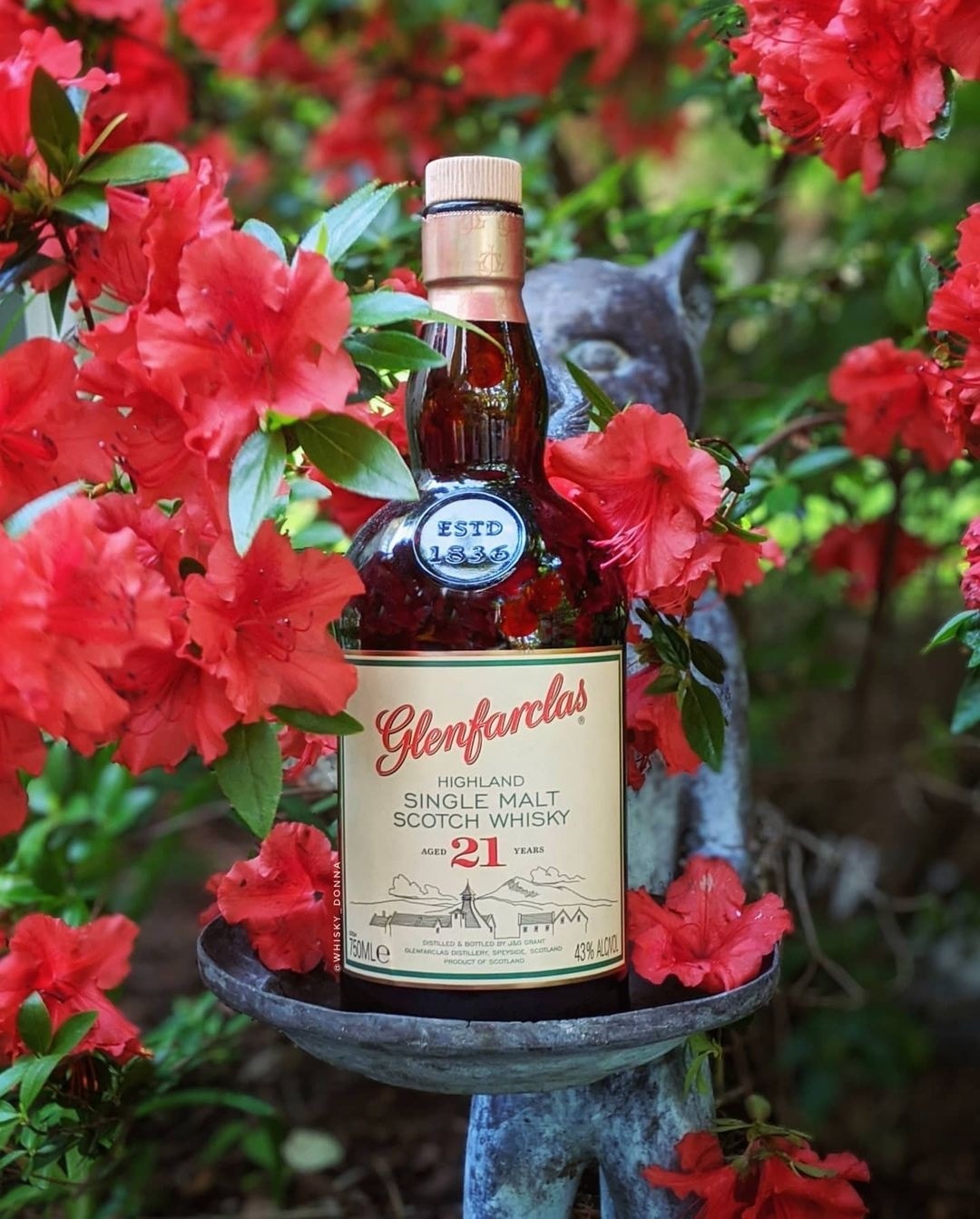 Glenfarclas 21 Năm