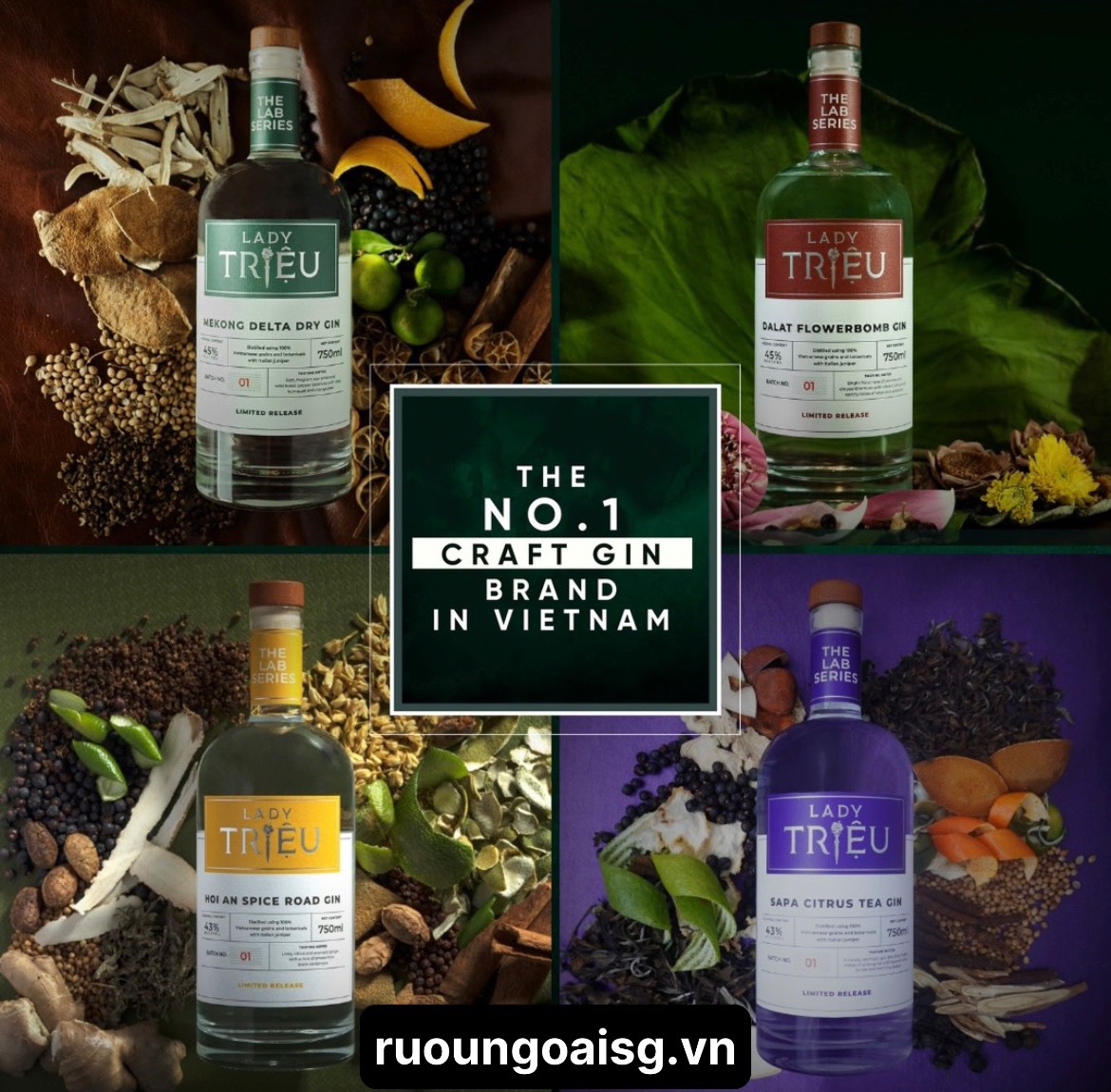 Những Người Phụ Nữ Quyền Lực Đằng Sau Lady Triệu Gin và The Triệu Institute