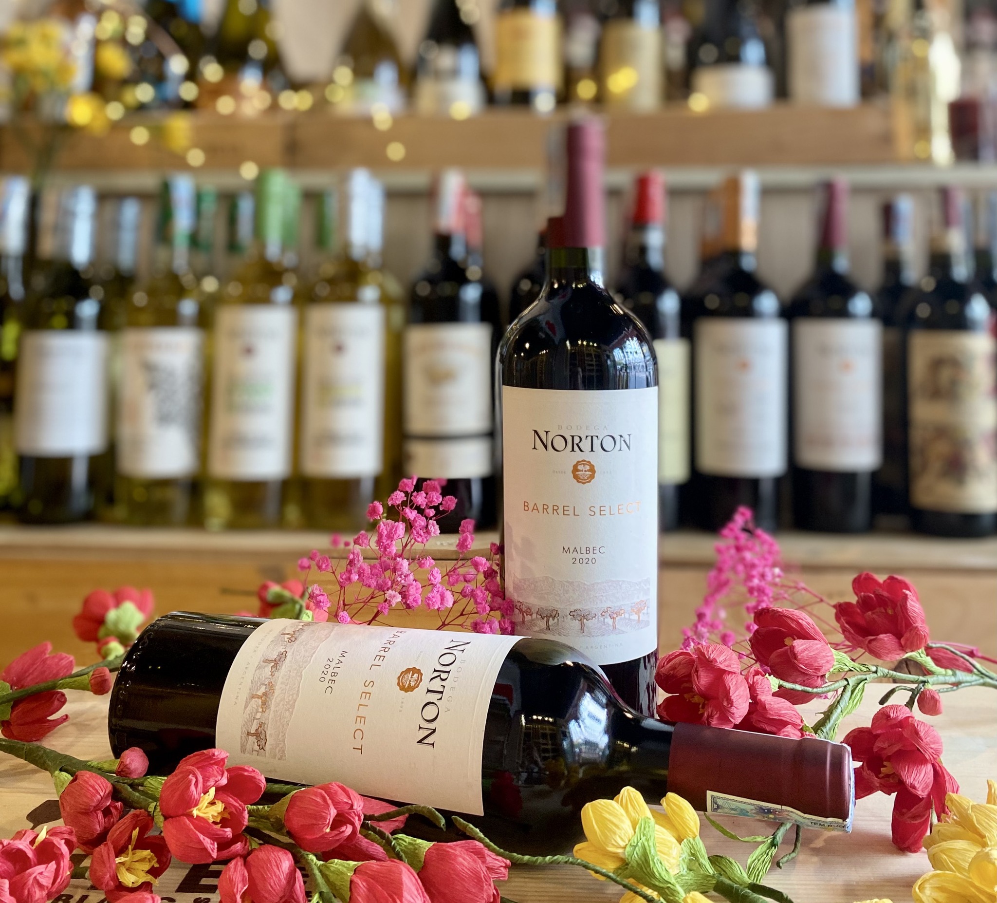 TOP 10 LOẠI RƯỢU VANG NGON NHẤT THẾ GIỚI KHÔNG THỂ BỎ QUA