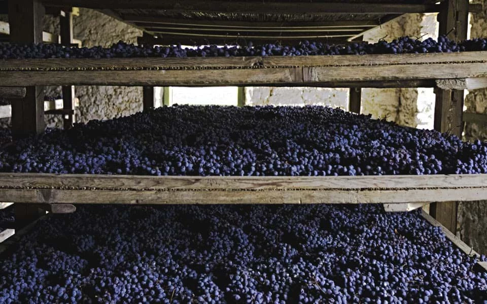 KH&Aacute;M PH&Aacute; PHƯƠNG PH&Aacute;P 