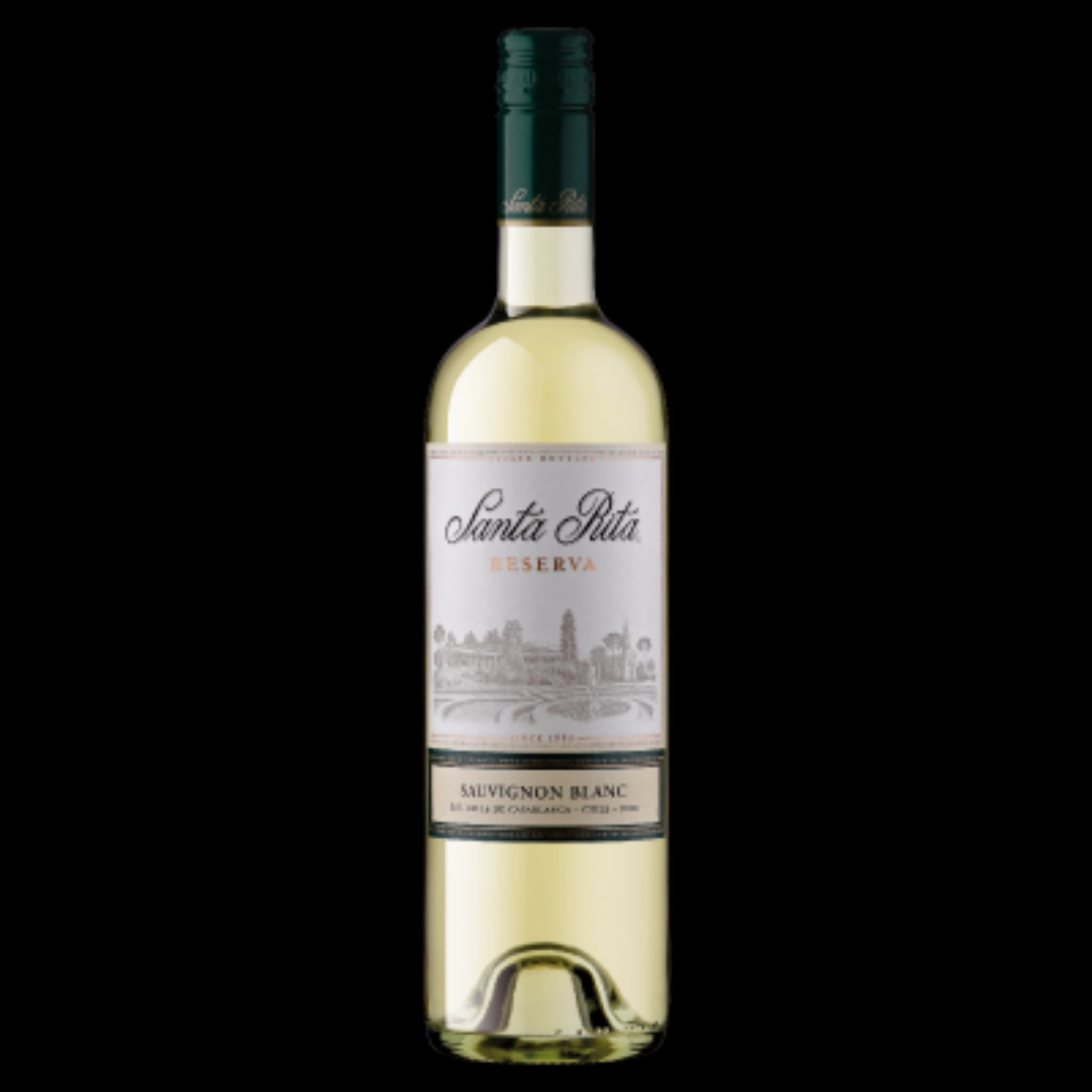 RƯỢU VANG SANTA RITA ESTATE RESERVA SAUVIGNON BLANC