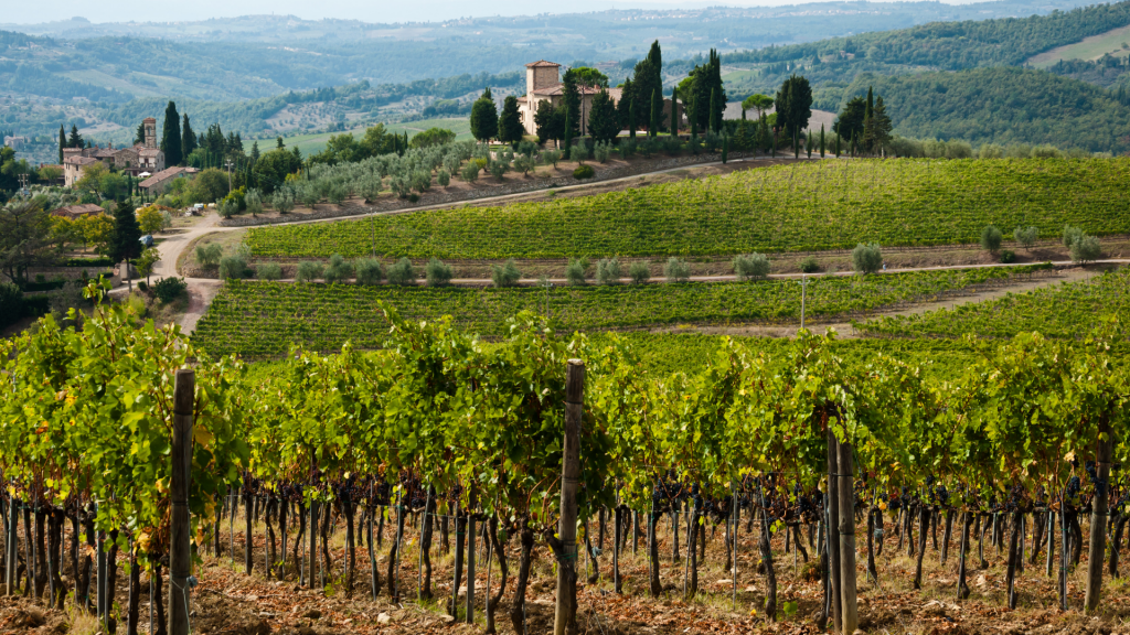 Top những dòng rượu vang giá 2 triệu ngon, rất được ưa chuộng